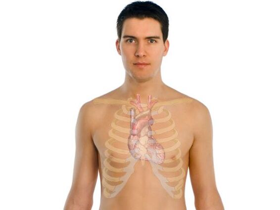 ako parazity ovplyvňujú ľudské orgány