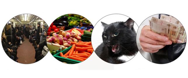 metódy infekcie parazitmi