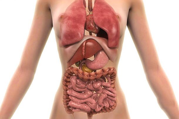 parazitov v ľudskom tele
